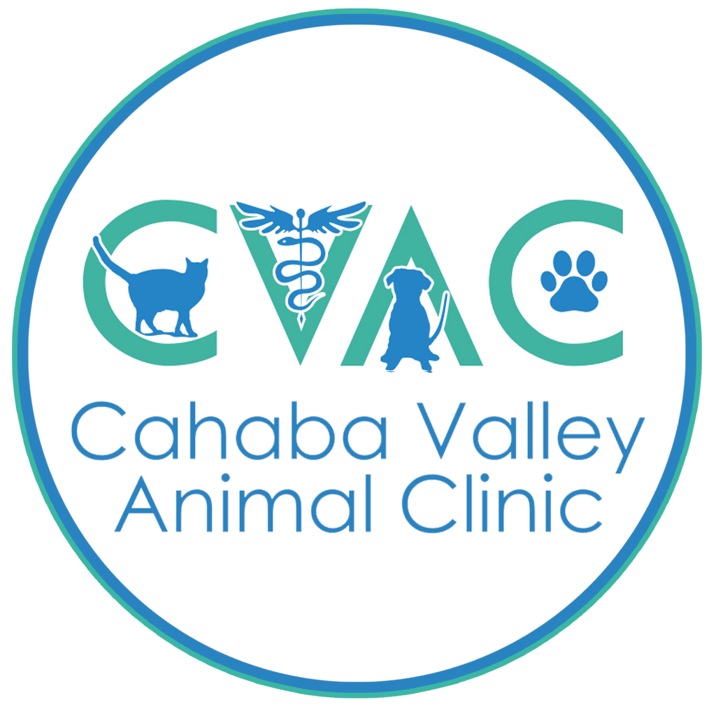 CVAC-Logo-with-Name-circle-new2
