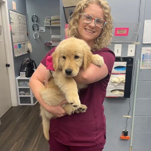 staff with pet